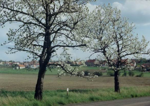 fotogalerie obec